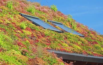 Stadmorslow living roof systems