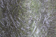 Stadmorslow fibreglass roof work